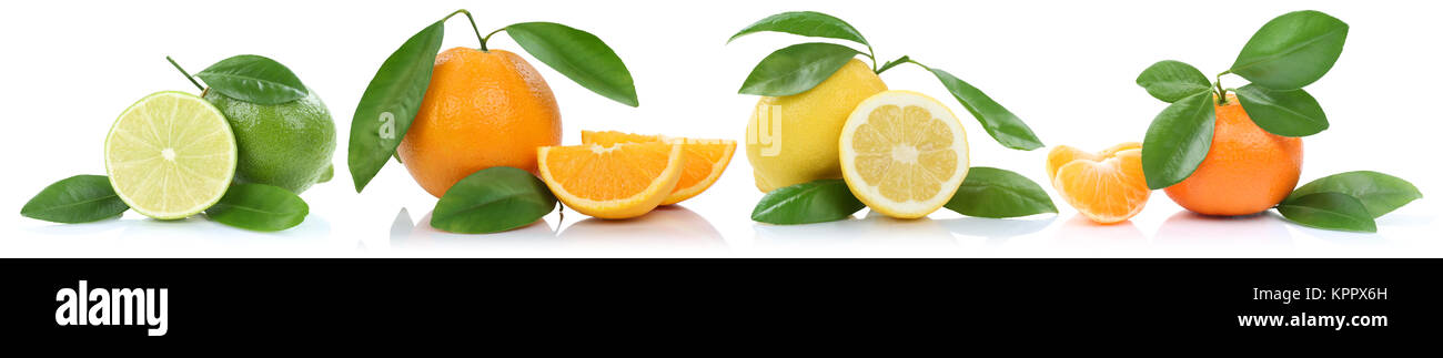 Collage Orangen Zitrone Mandarine Früchte in einer Reihe Freisteller freigestellt vor einem isoliert weissen Hintergrund Banque D'Images