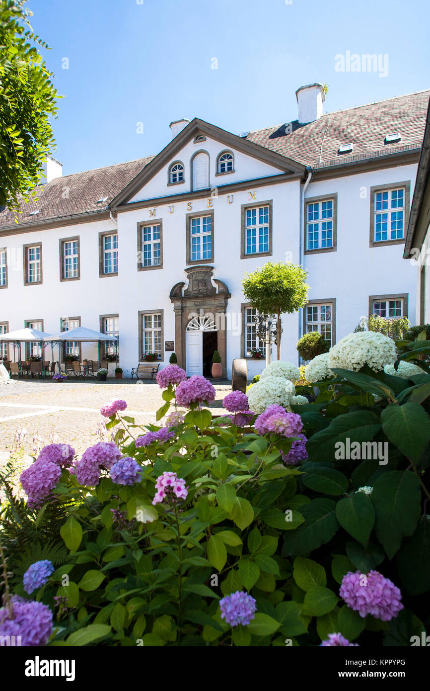 L'Allemagne, région du Sauerland, Arnsberg, le Sauerland Museum au vieux marché, l'Hydrangea. Deutschland, Sauerland, Arnsberg, das Sauerland Museum am Al Banque D'Images