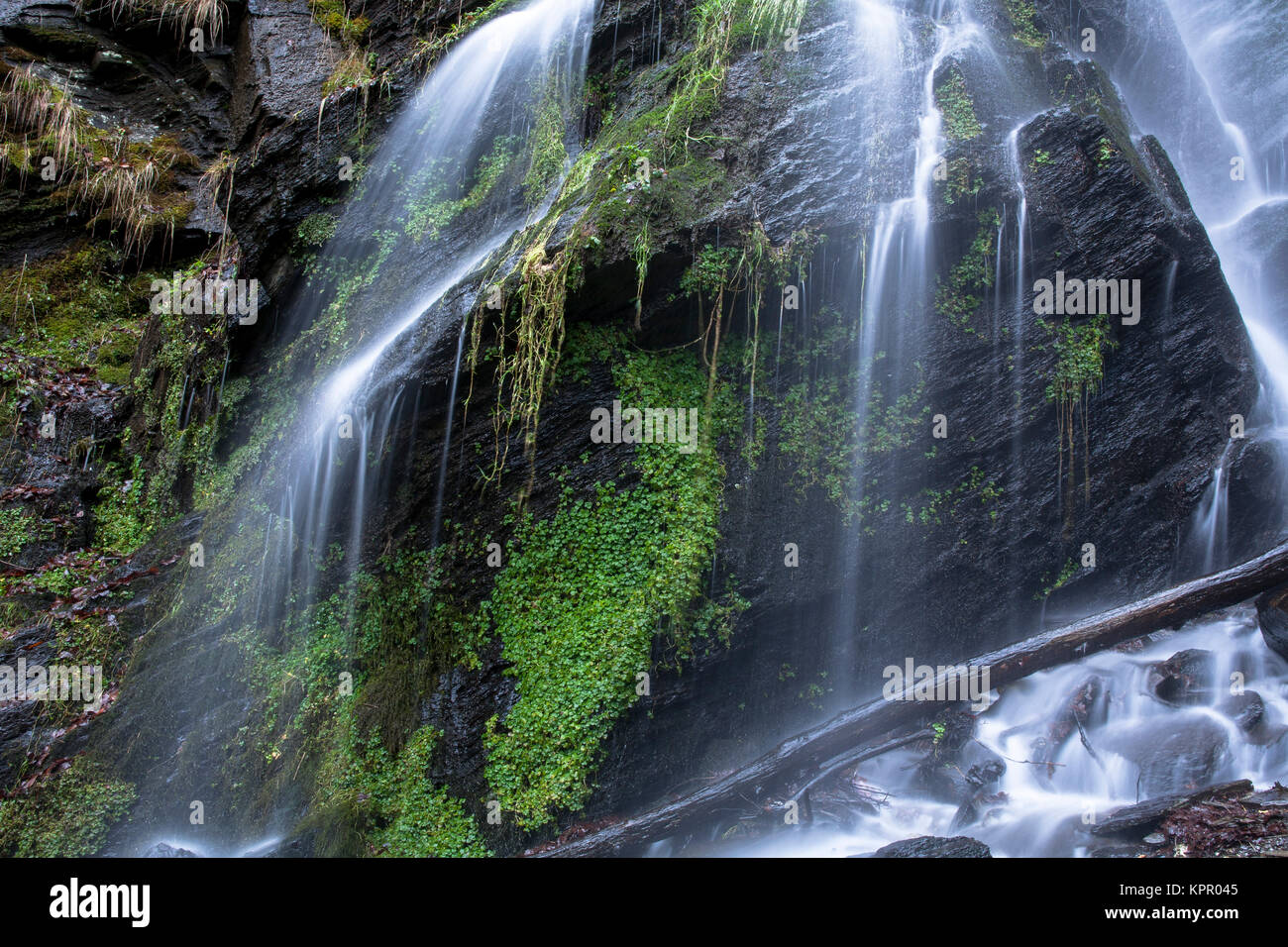 L'Europe, l'Allemagne, la chute d'Plaesterlegge à Bestwig dans la basse montagne de la région du Sauerland. Europa, Deutschland, Sauerland, der Wasser Banque D'Images