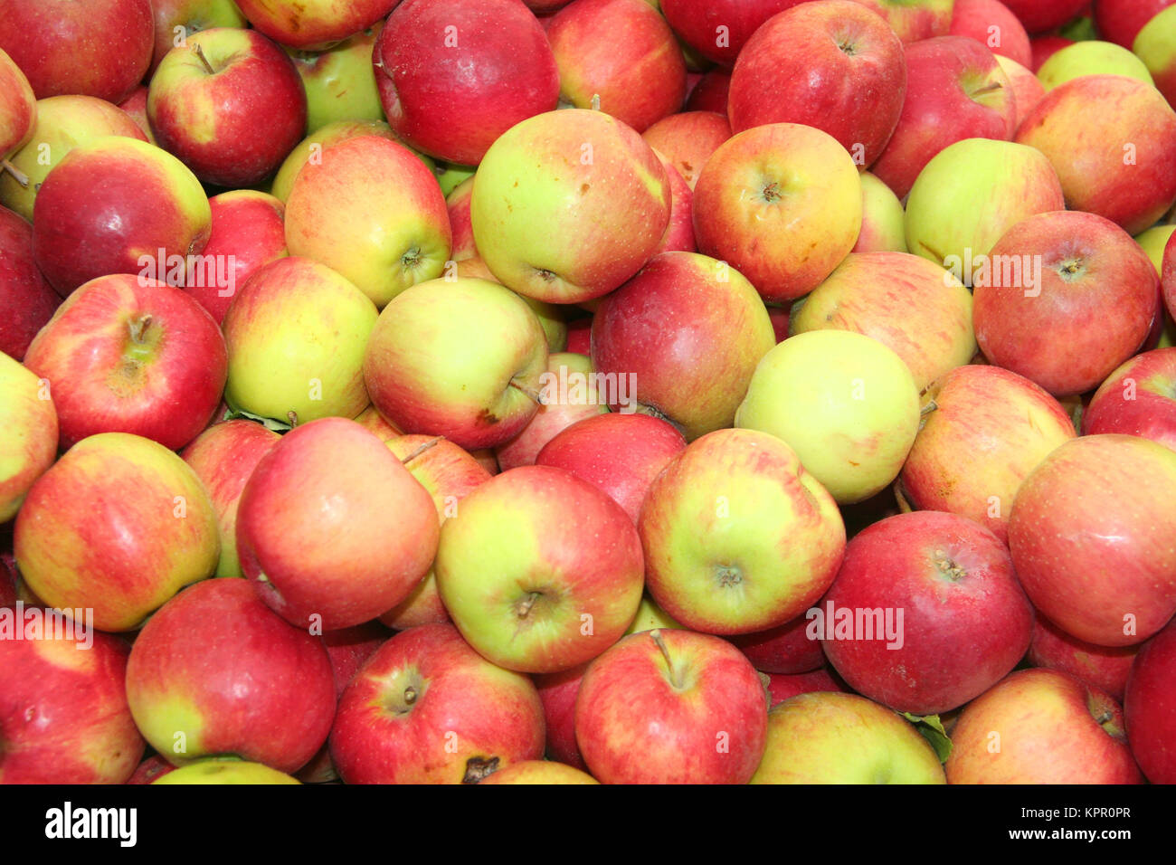 Des fruits sains, les pommes Banque D'Images