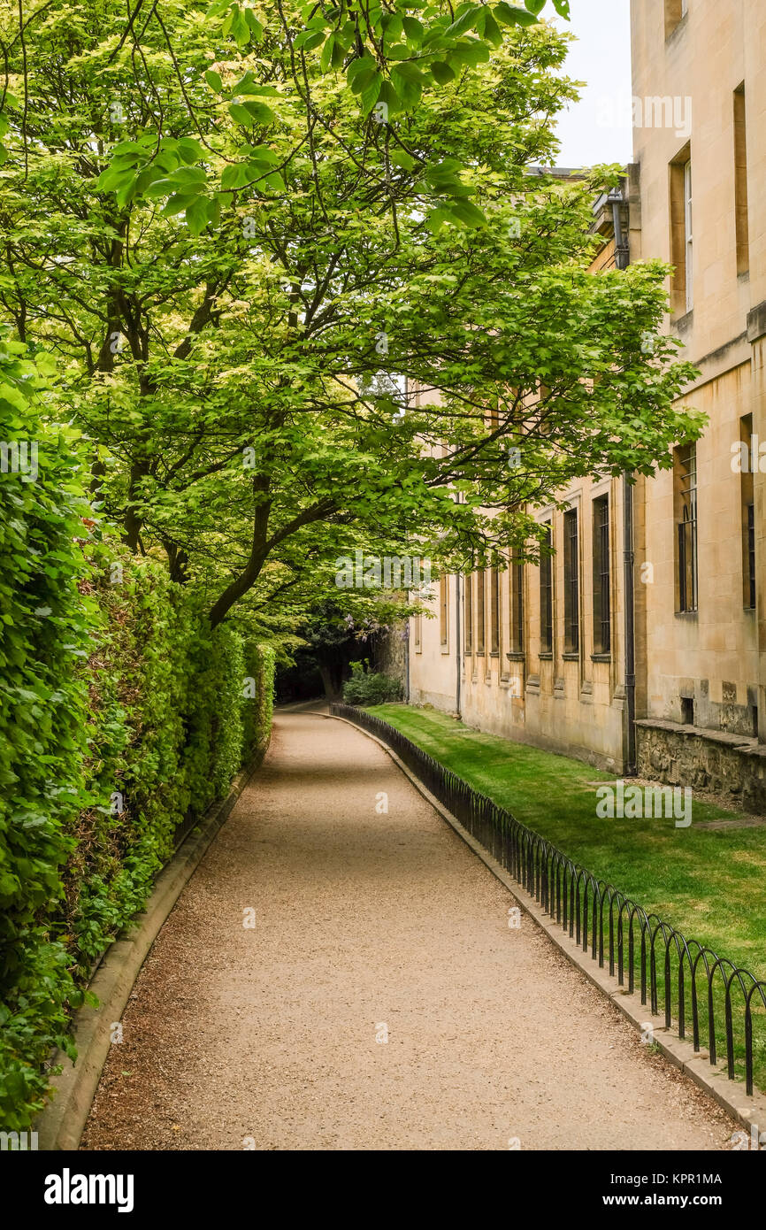 Grove à pied d'Oxford Street avec Merton reliant Dead Mans à pied et Merton à pied. Corpus Christi College se trouve sur la droite et Merton College à gauche Banque D'Images