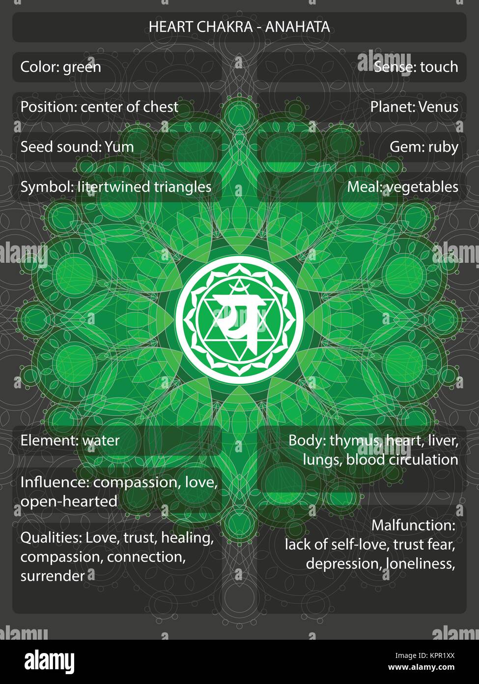 Symboles Signification Chakras avec infographie Illustration de Vecteur