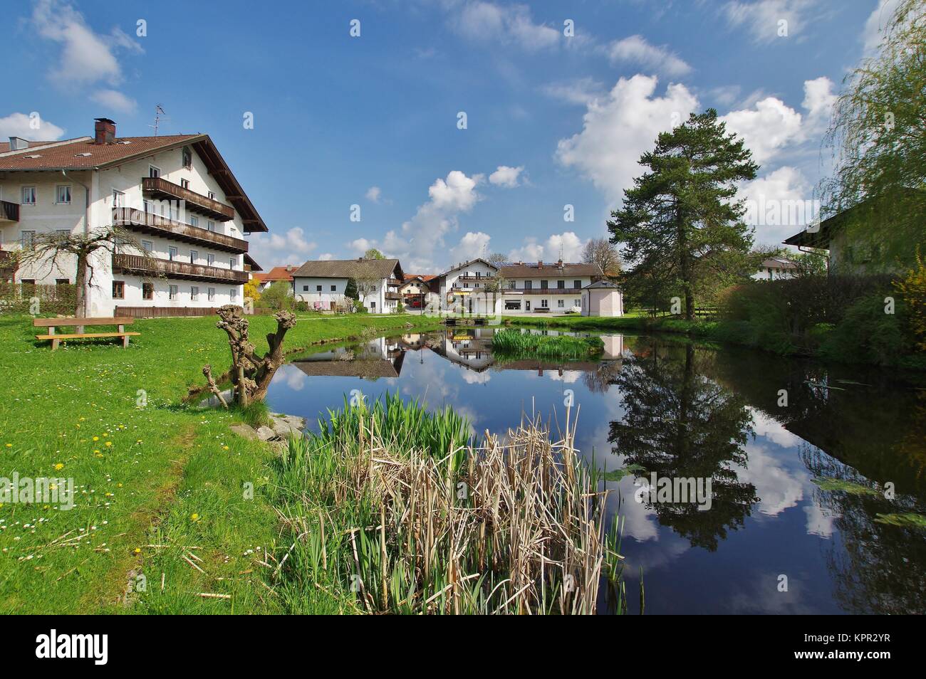 Avis de breitbrunn,chiemgau, haute-bavière Banque D'Images