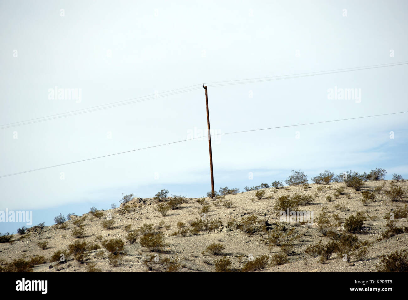 Elektromast inmitten einer ein kargen Wüstenlandschaft steht auf einem Hügel. Banque D'Images