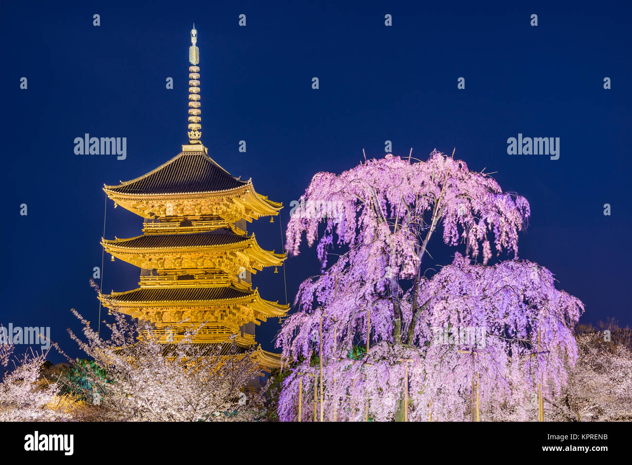 Kyoto, Japon à la Pagode Toji au printemps. Banque D'Images