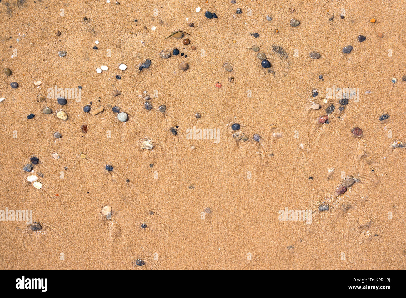Contexte faite de sable et de galets humides Banque D'Images