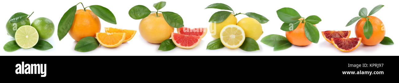 Collage Orangen Zitrone Pamplemousse Mandarine in einer Reihe bio Früchte Freisteller freigestellt isoliert vor einem weissen Hintergrund Banque D'Images
