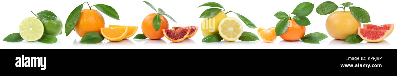 Collage Orangen Zitrone Pamplemousse Mandarine Früchte in einer Reihe Freisteller freigestellt vor einem isoliert weissen Hintergrund Banque D'Images