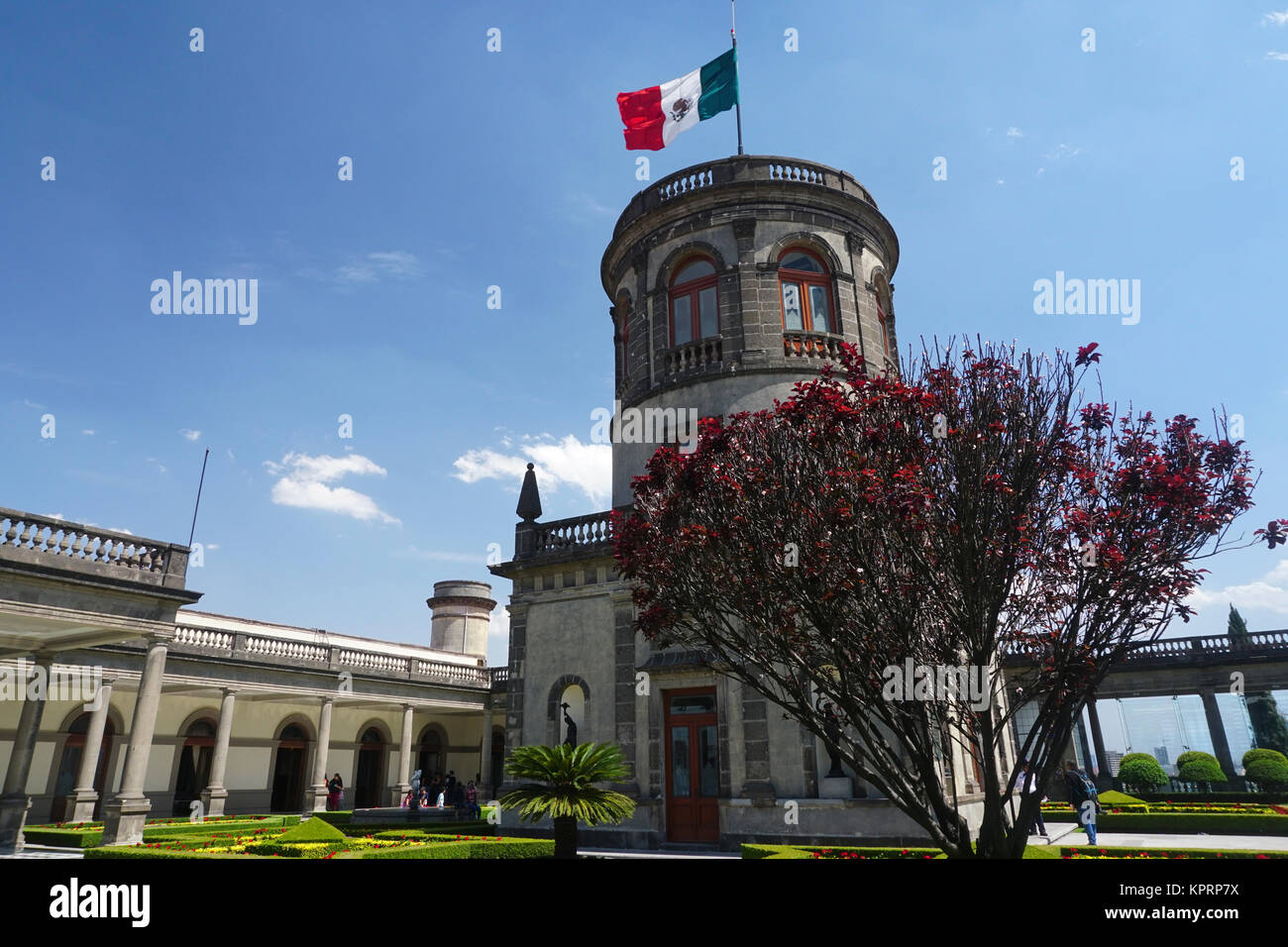 Le jardin, (El Jardin) Château de Chapultepec dans le parc de Chapultepec, Mexico, Mexique Banque D'Images