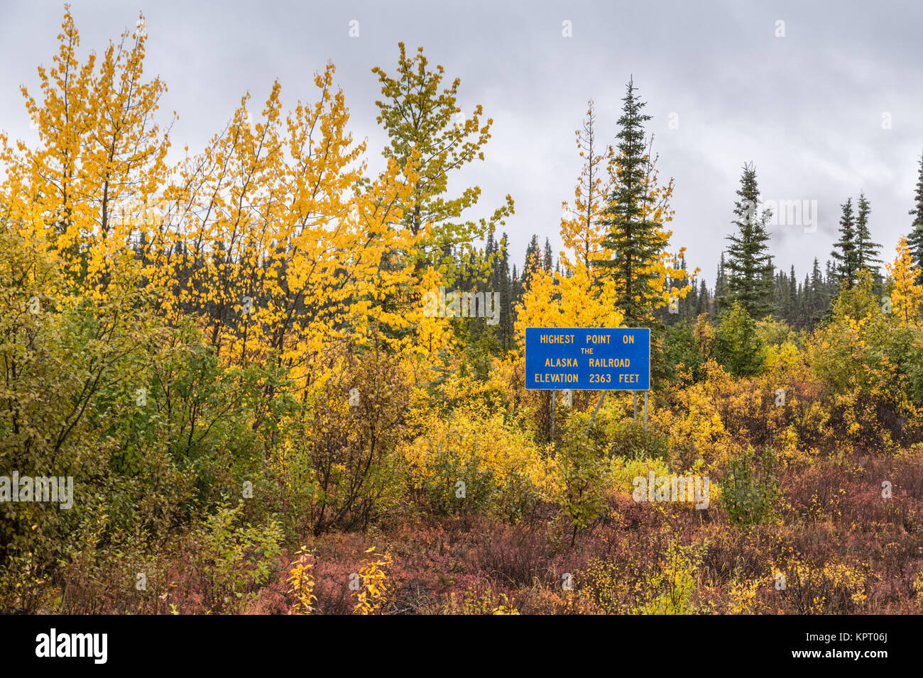 Point le plus élevé sur l'Alaska Railroad près du parc national de Denali et préserver les prises à l'automne (automne) montrant la toundra et la taïga en couleurs d'automne Banque D'Images