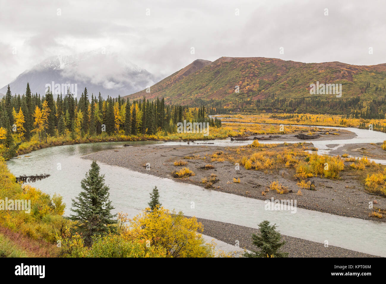 Vue depuis le MacKinley Explorer train sur l'Alaska Railroad près de Denali National Park prises à l'automne (automne) montrant la toundra et la taïga en couleurs d'automne Banque D'Images