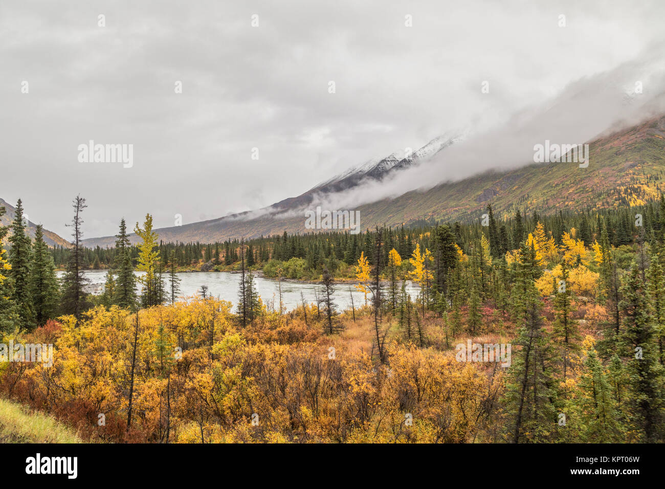 Vue depuis le MacKinley Explorer train sur l'Alaska Railroad près de Denali National Park prises à l'automne (automne) montrant la toundra et la taïga en couleurs d'automne Banque D'Images