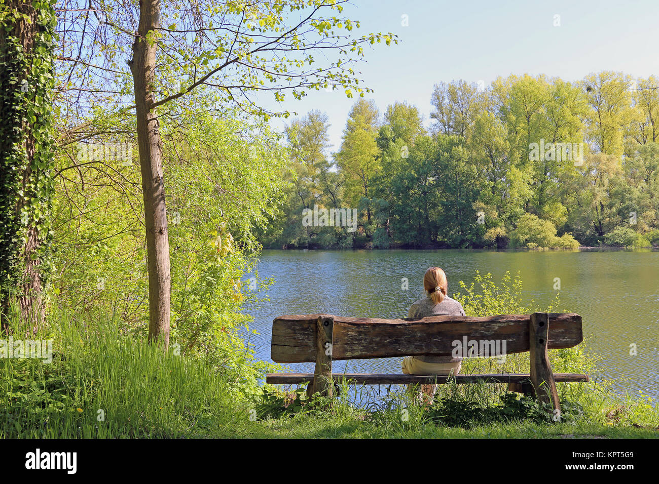Sur l'île du Rhin de Ketscher Banque D'Images Sur l'île du Rhin de Ketscher Banque D'Images