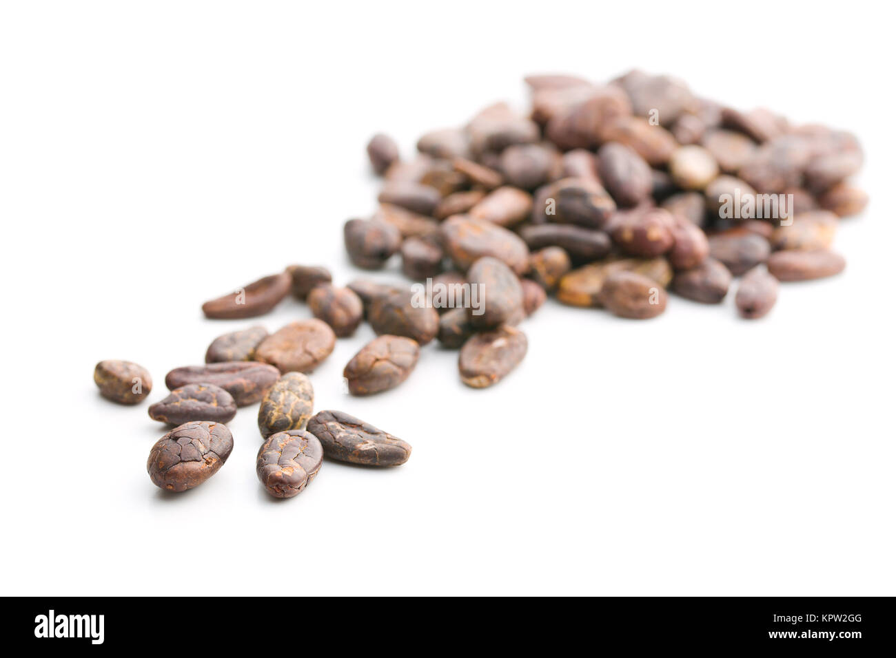 fèves de cacao Banque D'Images