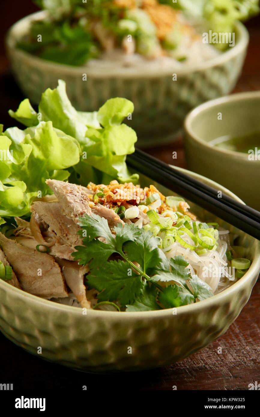 Bihun Bebek, un Chinois Peranakan Plat de riz nouilles potage de Canard Banque D'Images