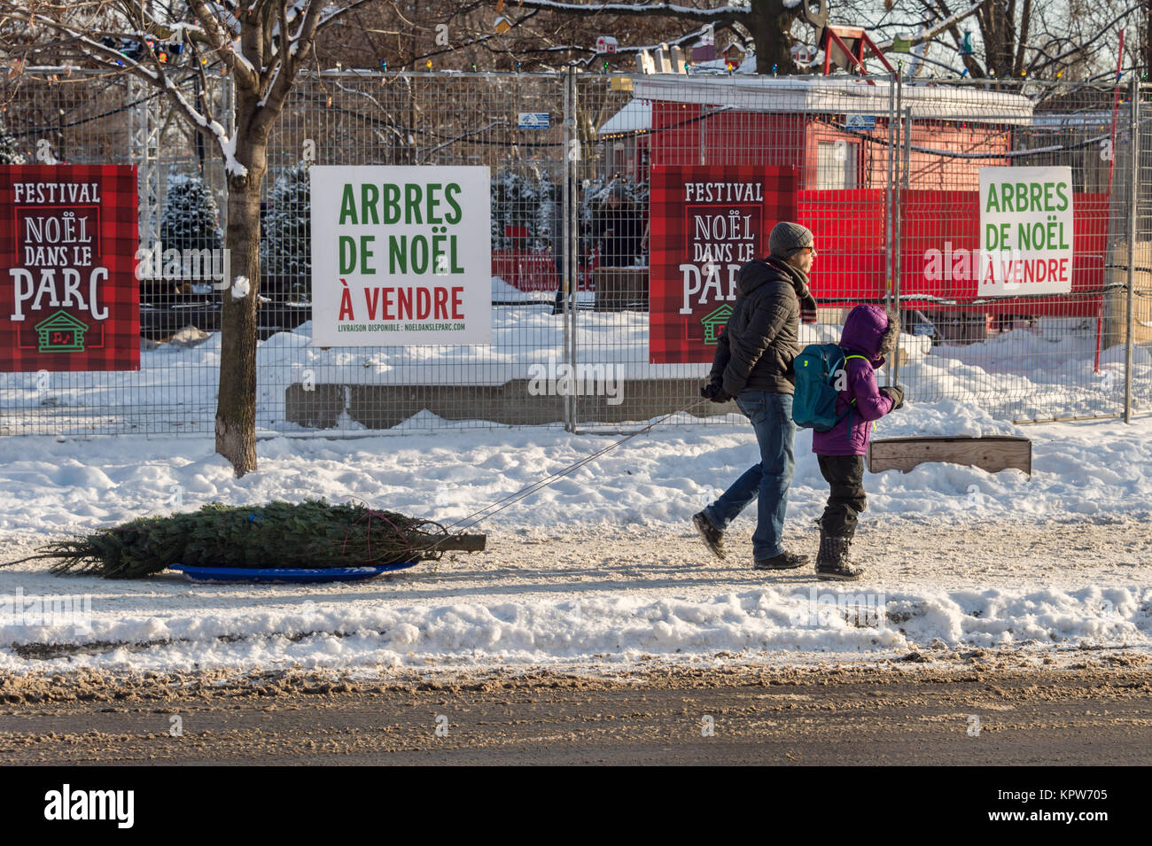Montréal, Canada - 16 décembre 2017 : Un homme et sa fille sont en train de l'arbre de Noël sur un traîneau Banque D'Images