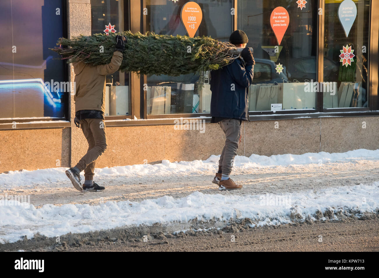 Montréal, Canada - 16 décembre 2017 : deux hommes sont porteurs d'un arbre de Noël Banque D'Images