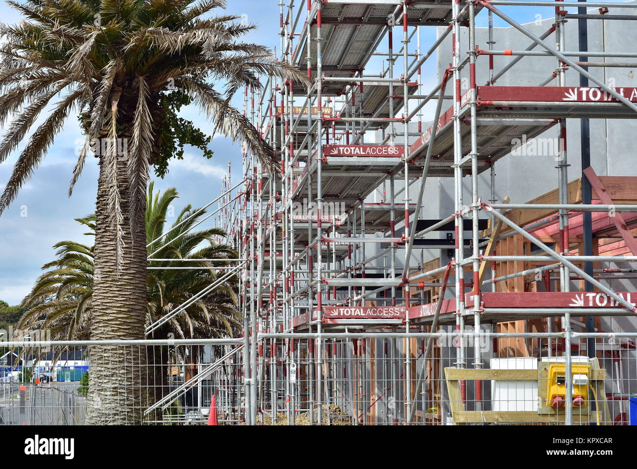 Palm avec tronc épais près d'échafaudages métalliques sur site de construction. Banque D'Images