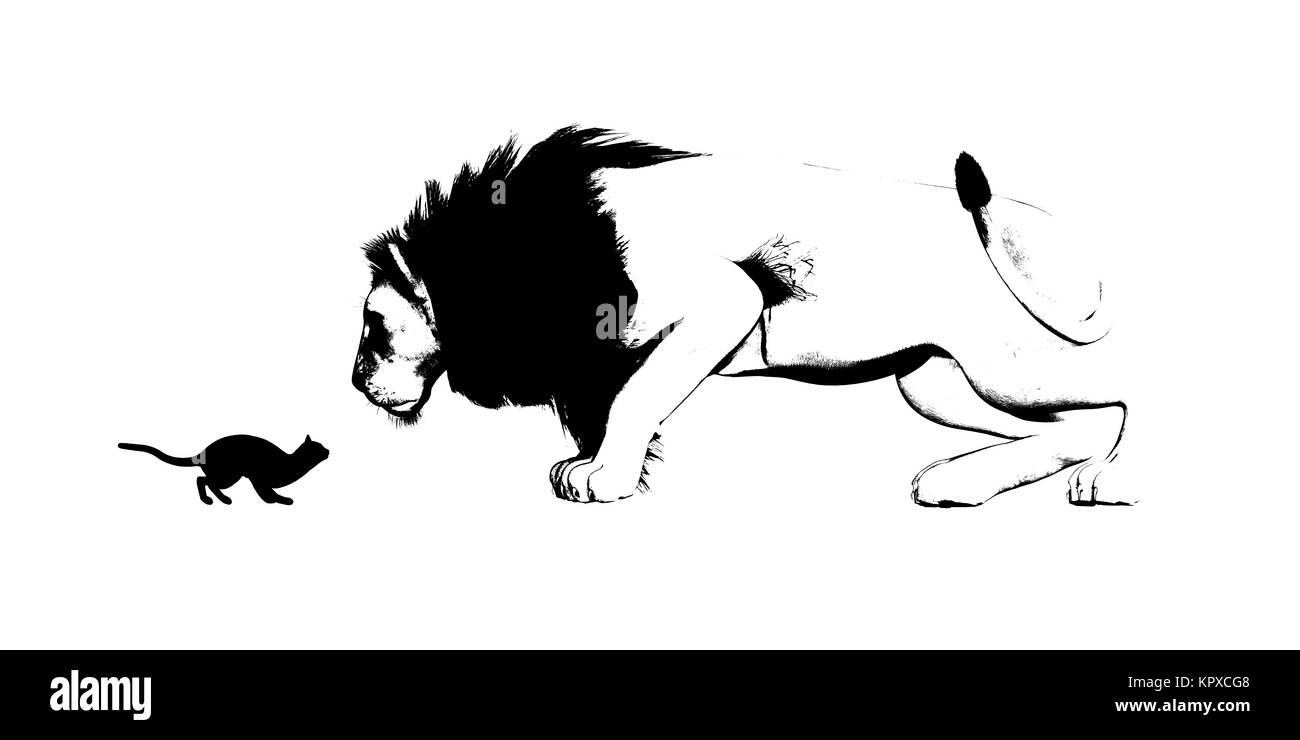 Miroir De Chat Et Lion Photo Stock Alamy