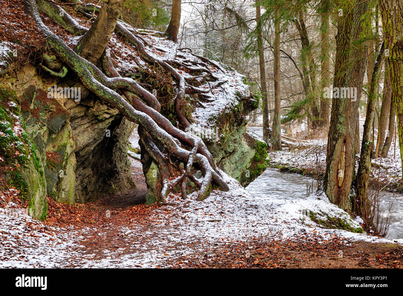 Felsdurchbruch Selketal-Stieg Fernwanderweg Harz Banque D'Images