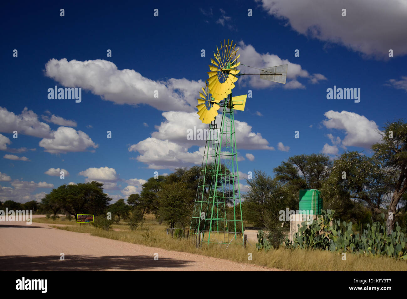 Le parc transfrontalier de Kgalagadi entre Afrique du Sud et le Botswana est le premier désert d'observer la faune dans l'ouvert. Moulins à vent dans le Jaune Banque D'Images