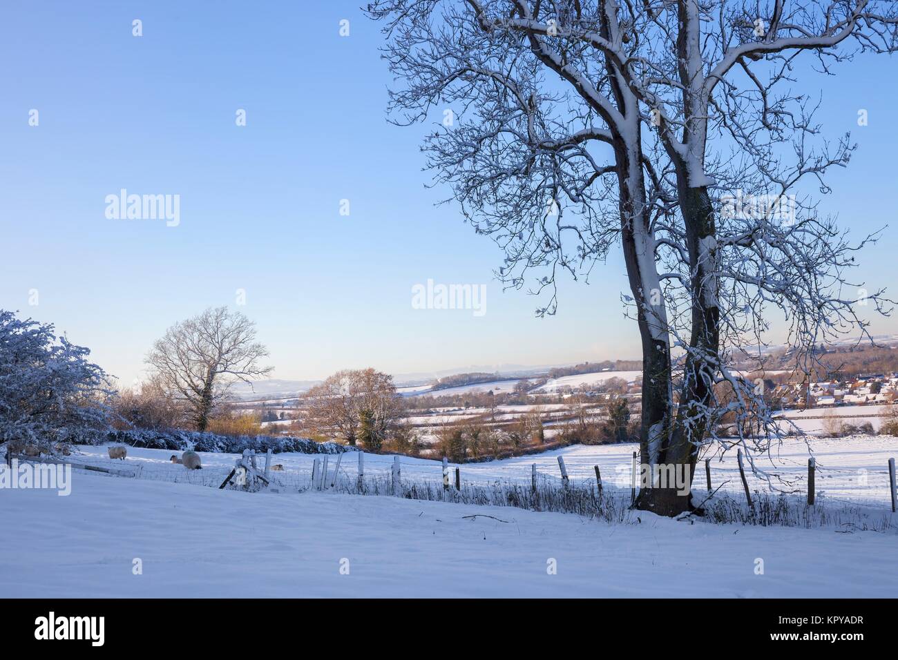 Paysage de neige de Cotswold Banque D'Images