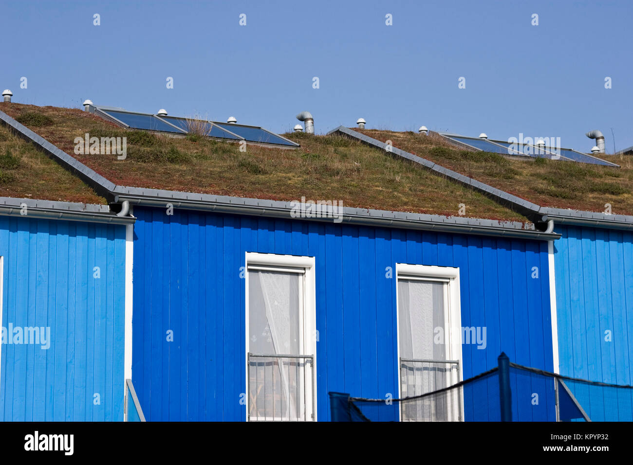 Maisons écologiques modernes avec des toits verts à Hanovre, Allemagne Banque D'Images