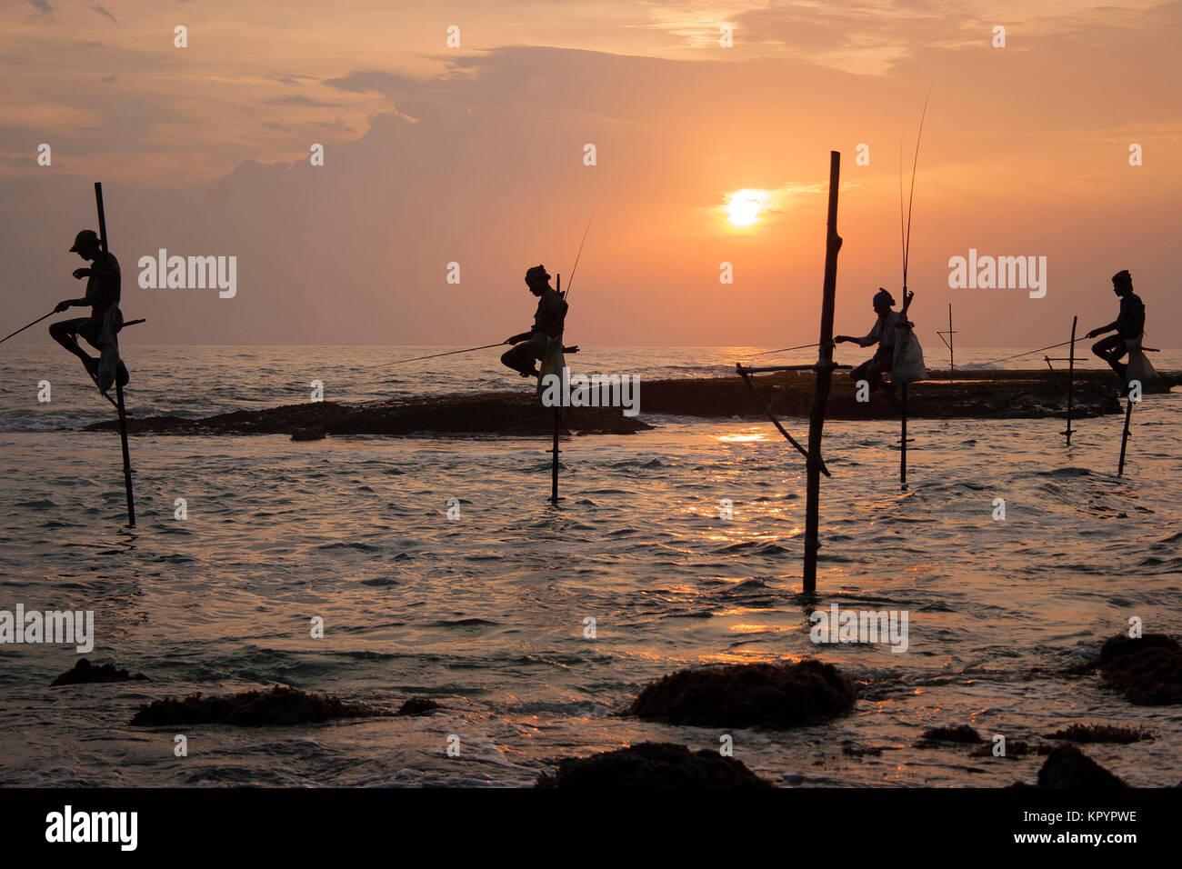 Pêche à échasses au Sri Lanka Banque D'Images