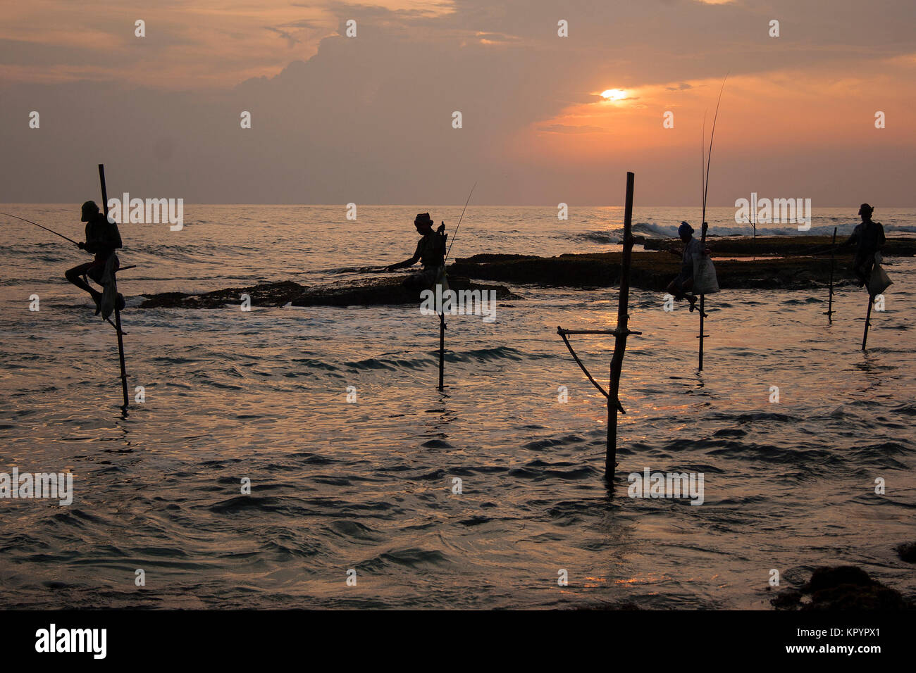 Pêche à échasses au Sri Lanka Banque D'Images