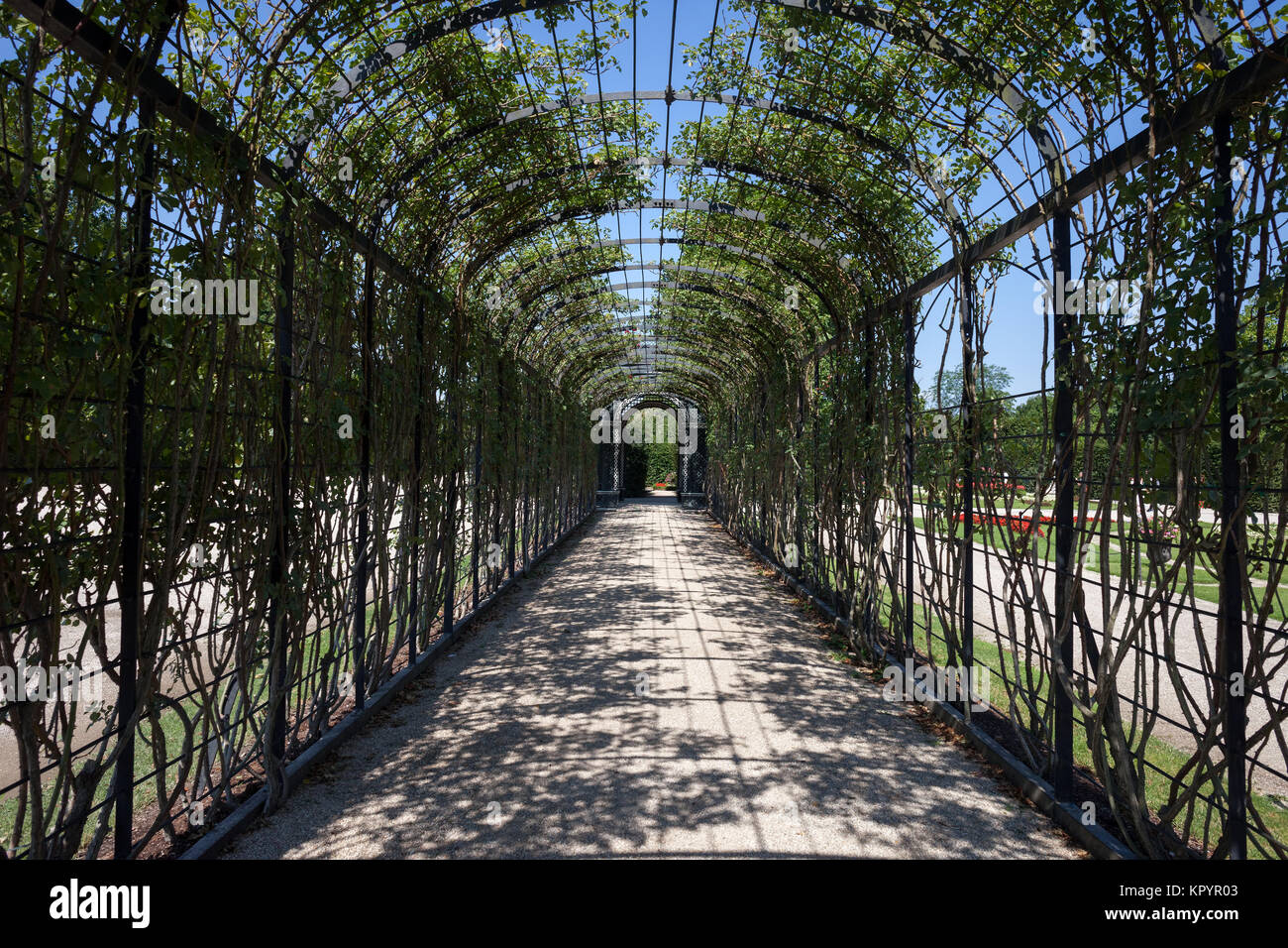 Pergola ronde avec les plantes rampantes dans les jardins du palais de Schonbrunn privé dans la ville de Vienne, Autriche, Europe Banque D'Images