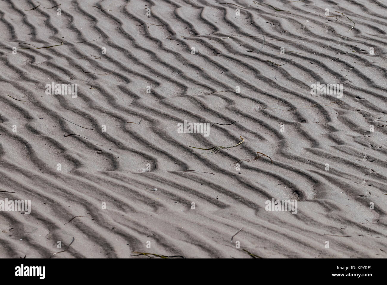 Plage de sable avec des rainures dans la rétro-éclairage Banque D'Images