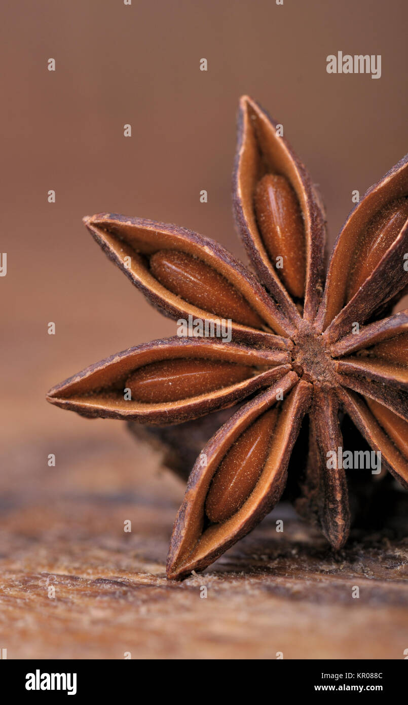 Gros plan sur la branche de l'anis étoilé - badiane -avec des graines à l'intérieur sur planche en bois Banque D'Images