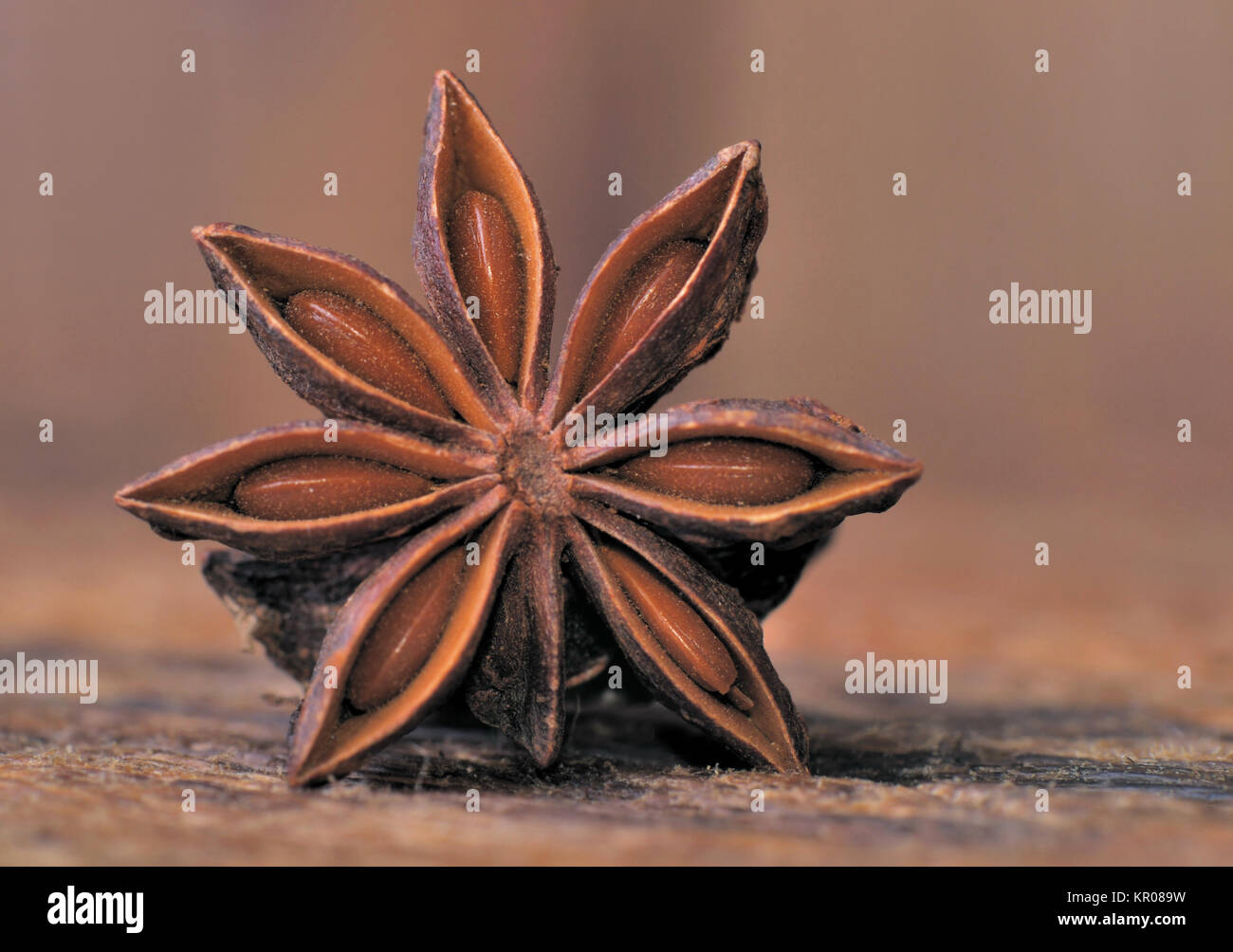 Gros plan sur l'anis étoilé - badiane chinoise - sur une planche en bois Banque D'Images