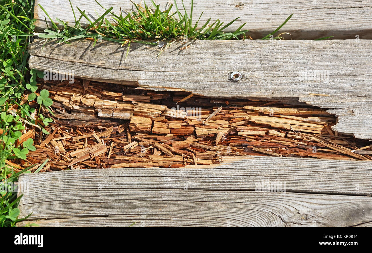 Le bois pourri sur chemin Promenade besoin de réparation Banque D'Images