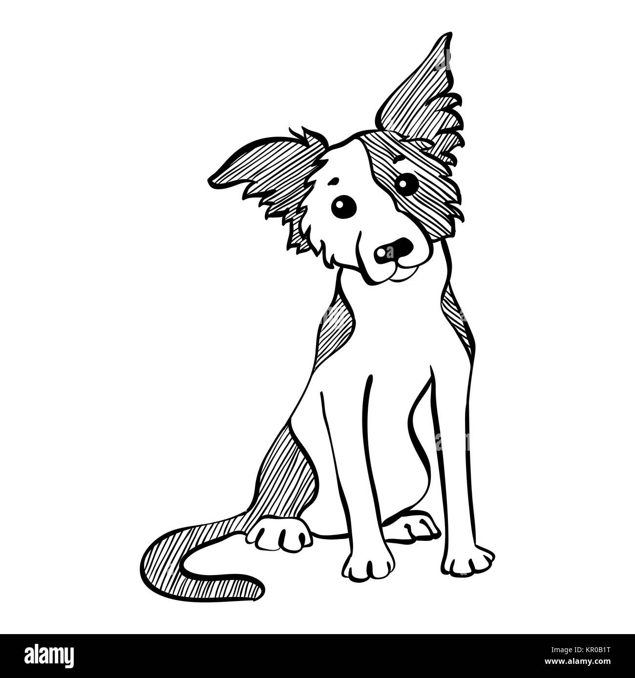 Dessin vectoriel funny Border Collie dog sitting Banque D'Images