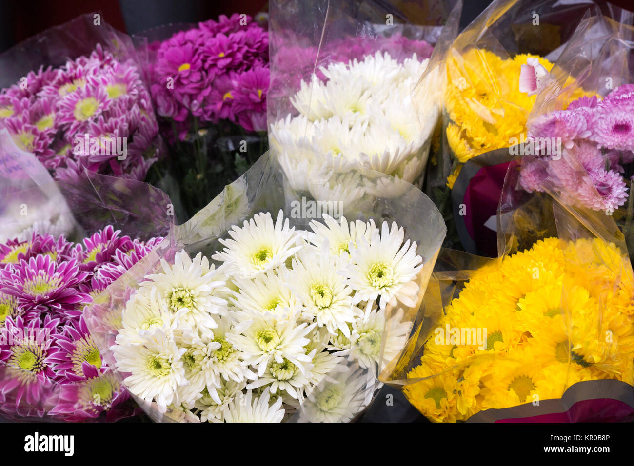 Les fleurs fraîches en face d'un magasin de fleur Banque D'Images