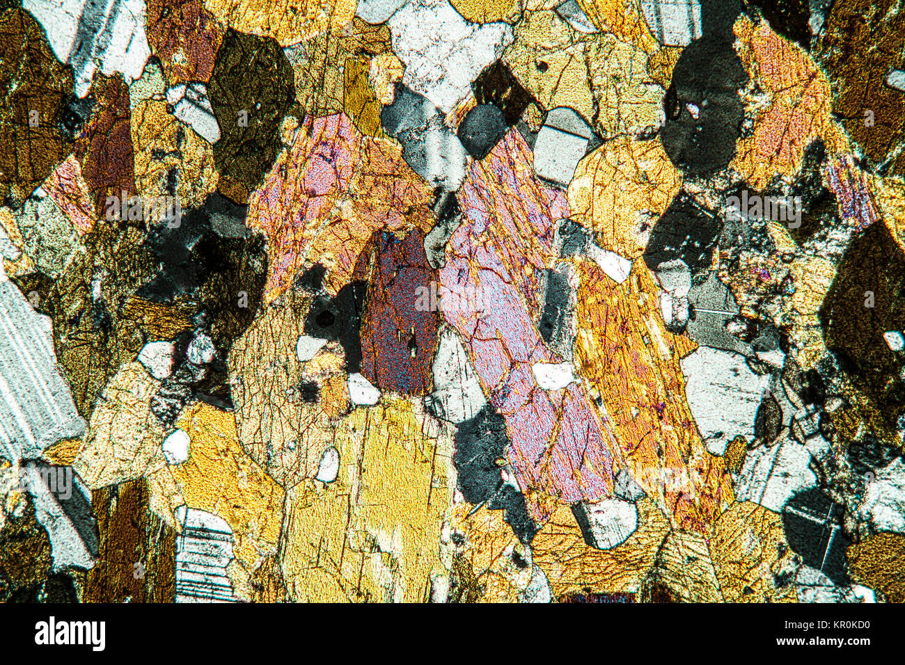 L'amphibolite rock section fine Banque D'Images