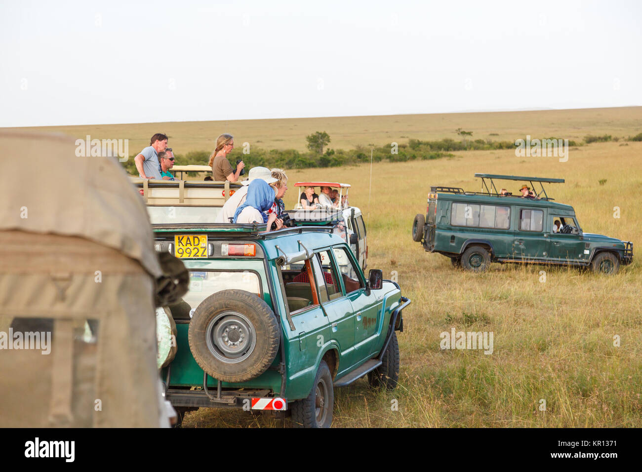 Les touristes dans les véhicules de safari dans la savane du Masai Mara, Kenya Banque D'Images