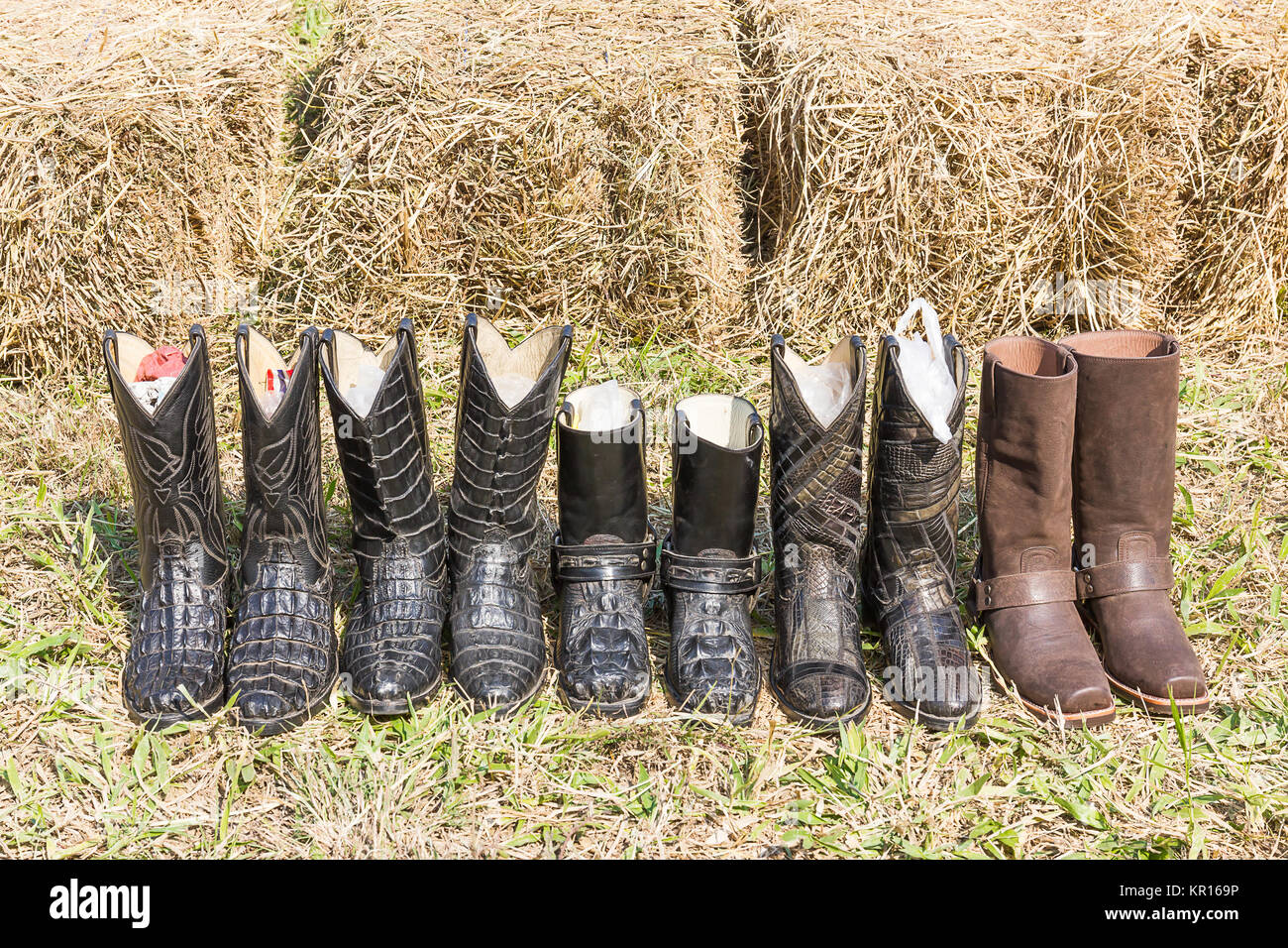 Cowboy bottes en cuir de crocodile Banque D'Images