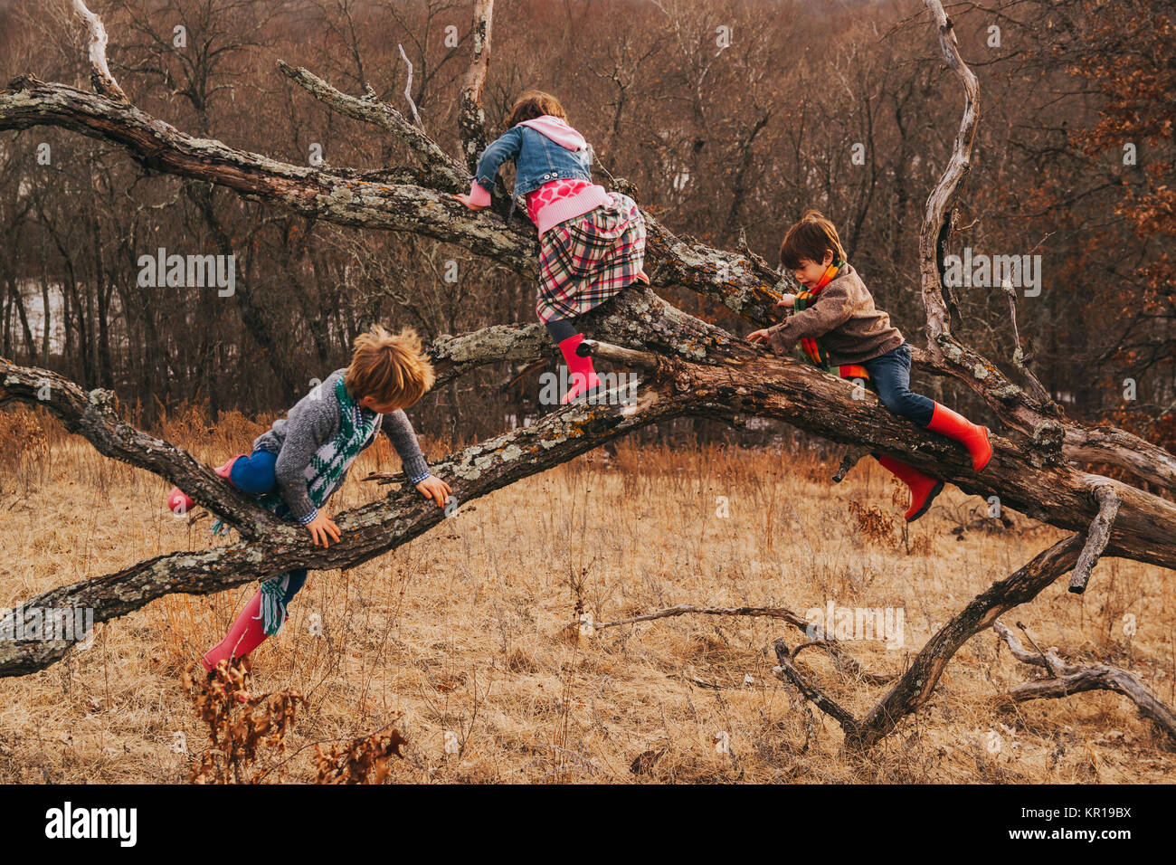 Trois enfants escalade un arbre tombé dans l'automne Banque D'Images