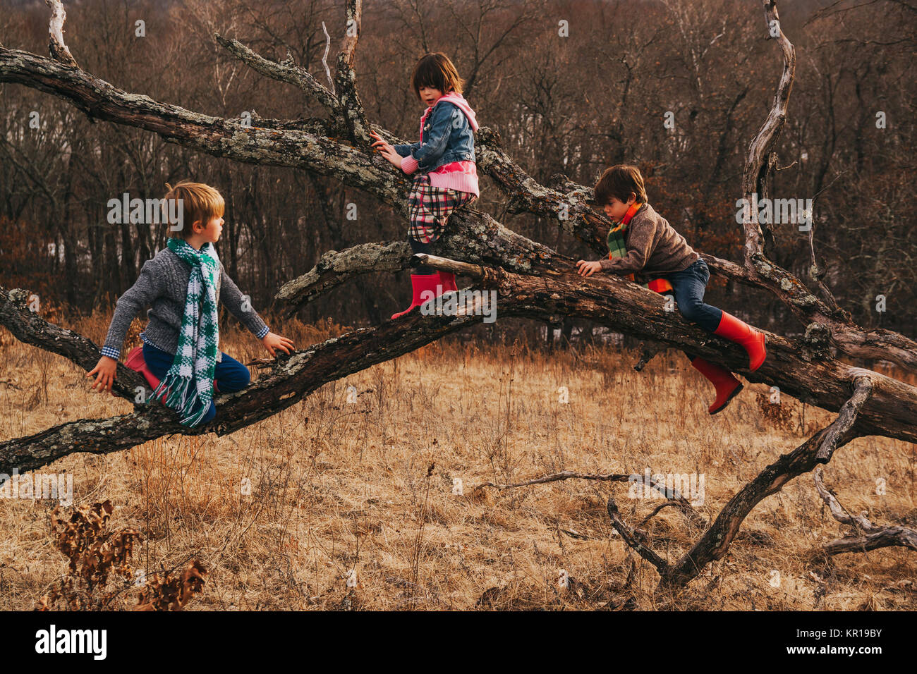 Trois enfants escalade un arbre tombé dans l'automne Banque D'Images