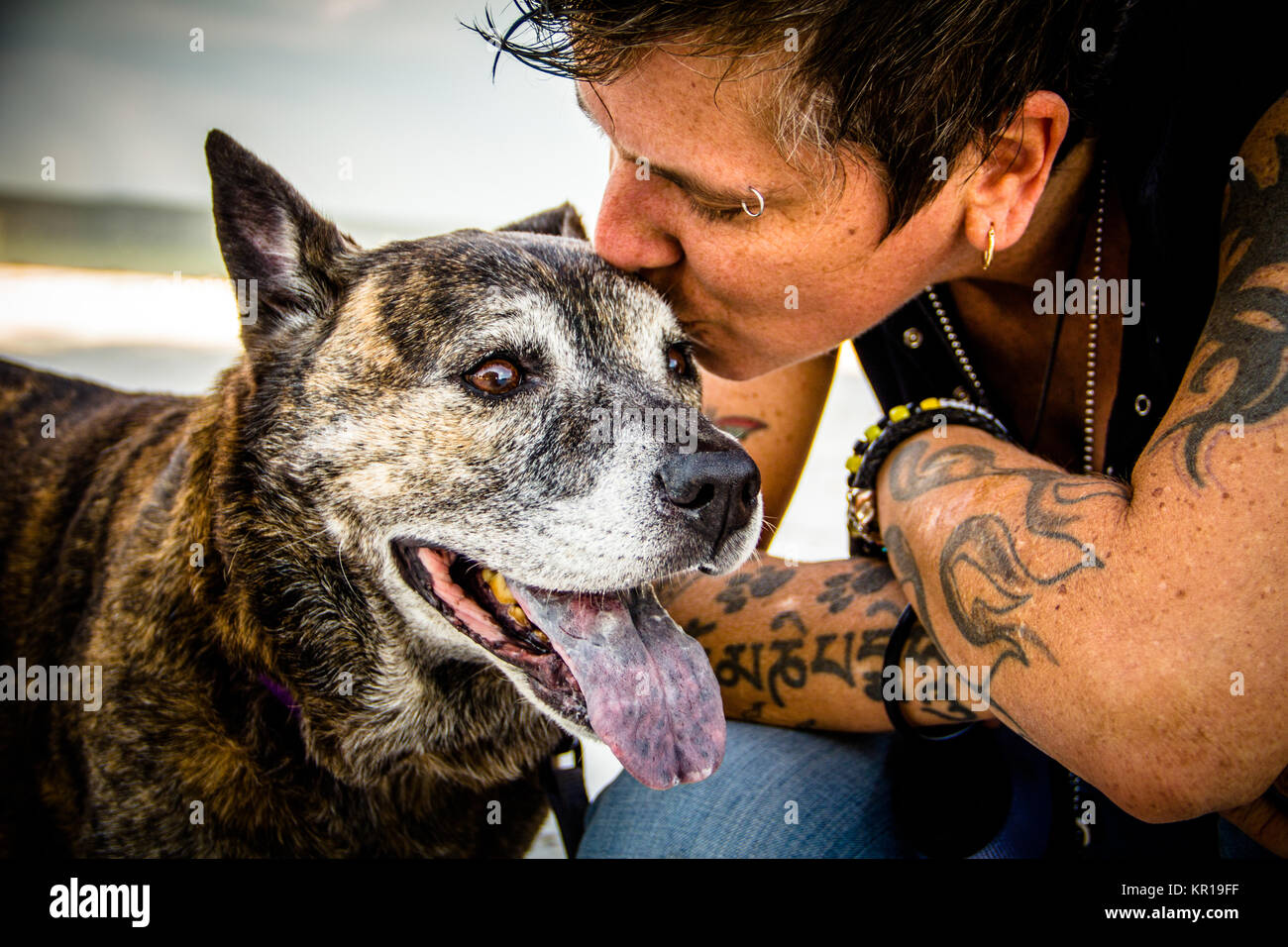 Femme sur la plage embrassant son chien de Pitbull, Saint-Pétersbourg, Floride, États-Unis Banque D'Images
