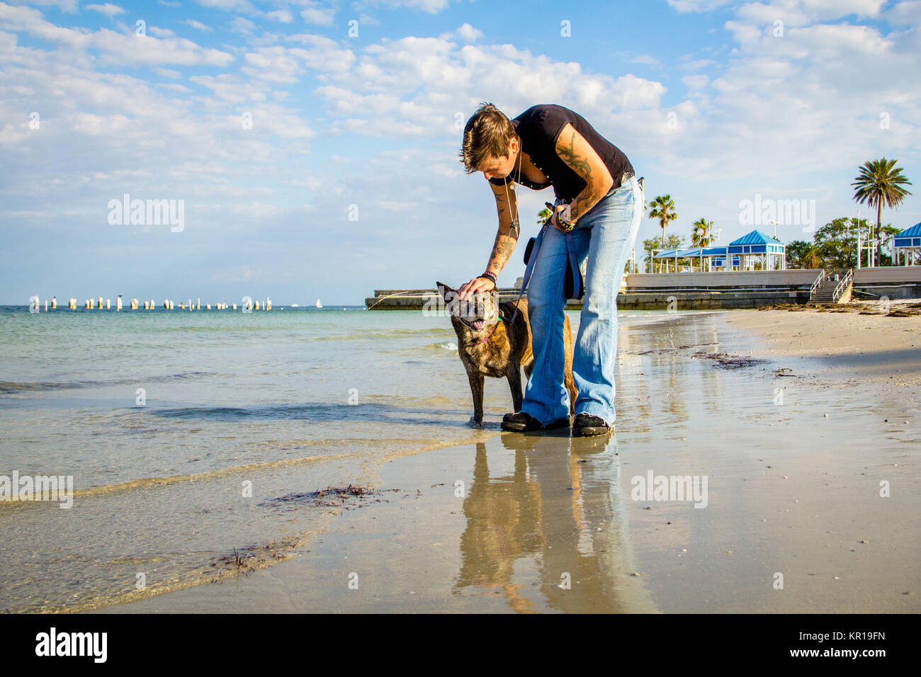 Femme marchant son chien de Pitbull sur la plage, Saint-Pétersbourg, Floride, États-Unis Banque D'Images