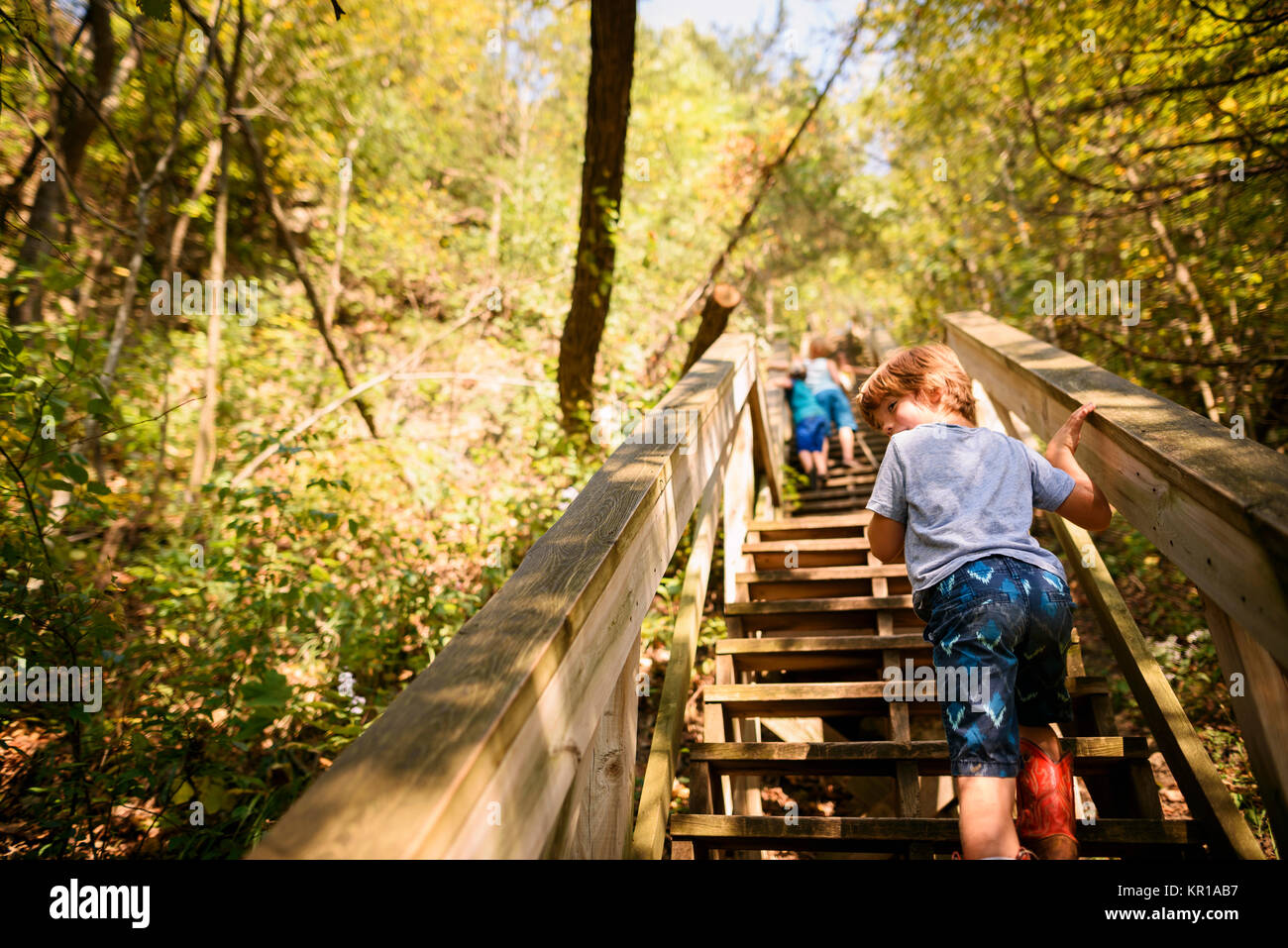 Trois enfants à monter les escaliers du sentier dans les bois Banque D'Images