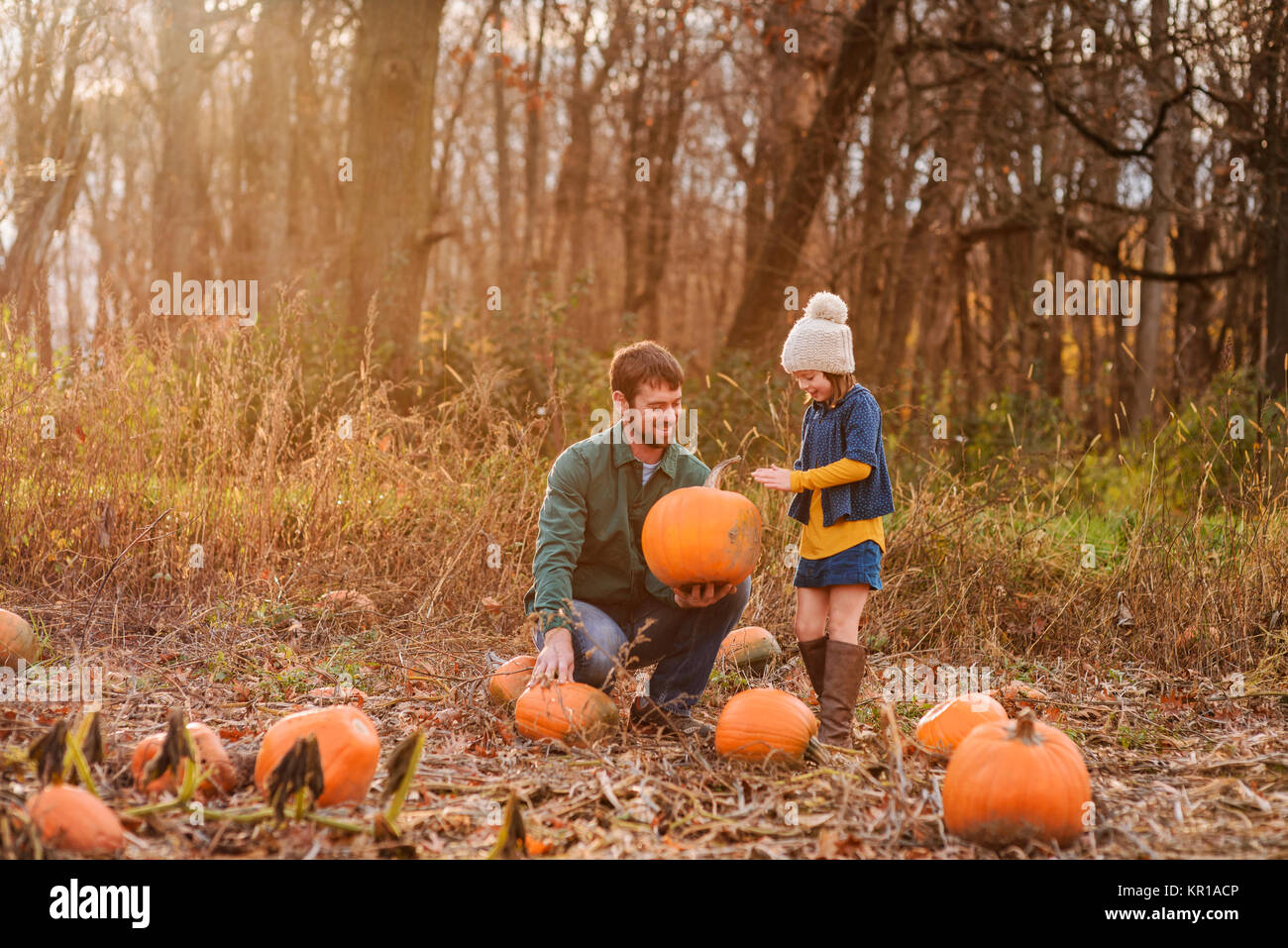 Père et fille picking citrouilles dans un potager Banque D'Images