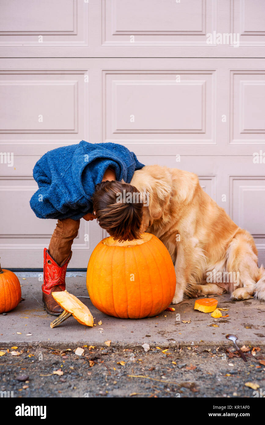 Garçon et son chien à la recherche d'une citrouille Halloween Banque D'Images