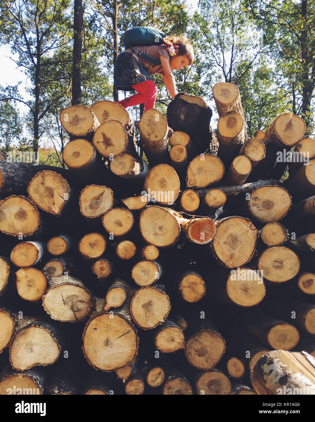 Girl climbing sur un tas de bois de chauffage Banque D'Images