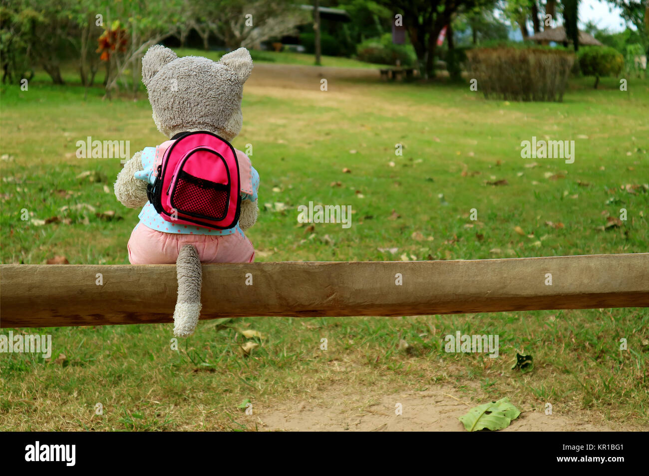 Voyage seul ! Un chiot en peluche avec sac à dos, assis sur un banc en bois sur le champ vert Banque D'Images