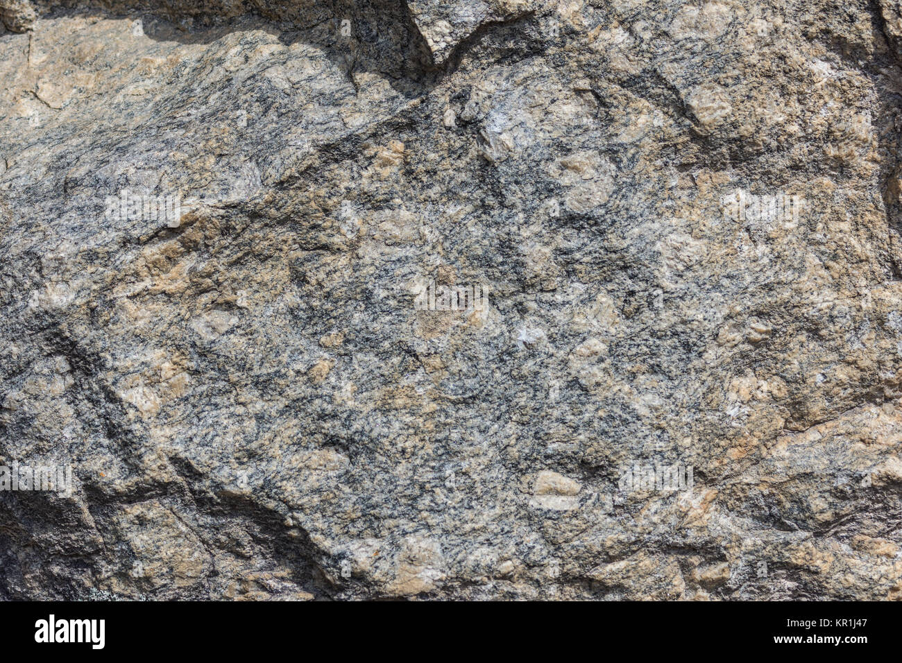 Gros cristaux de feldspath de gneiss granitique précambrienne en affleurement. Madagascar, l'Afrique. Banque D'Images