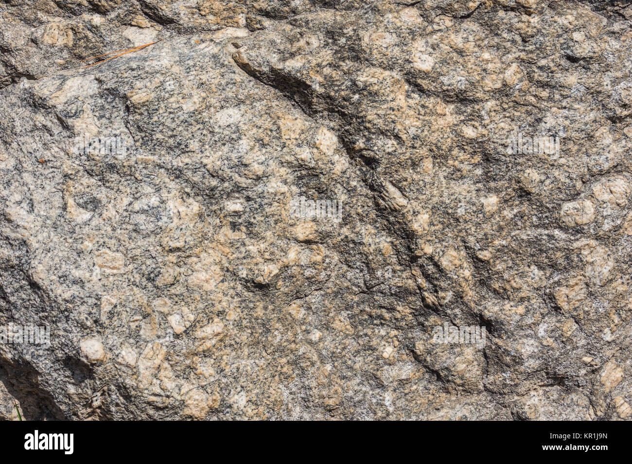 Gros cristaux de feldspath de gneiss granitique précambrienne en affleurement. Madagascar, l'Afrique. Banque D'Images